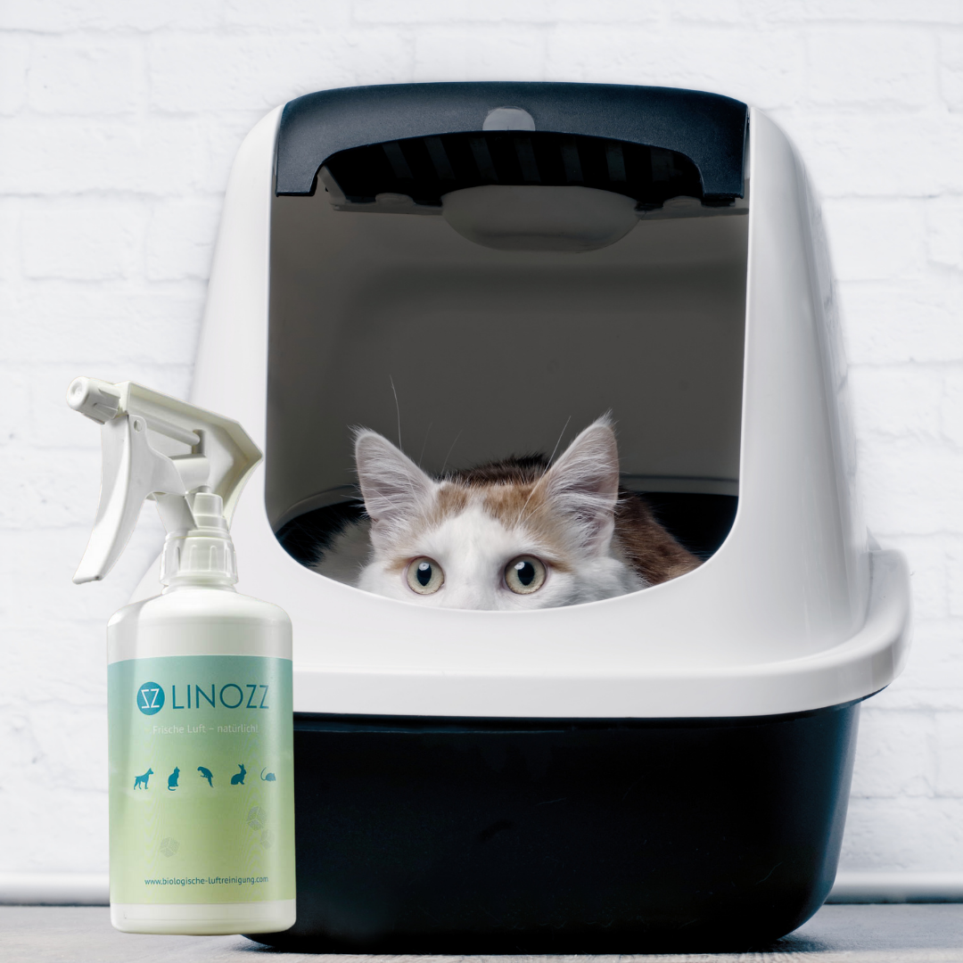 Sensedeck GmbH – Großhandel Haustier-Deospray – LINOZZ Animal Geruchsentferner 500 ml2