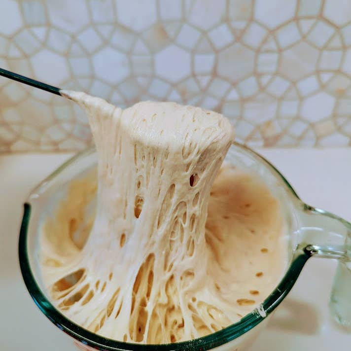 My Rustic Roots - Wholesale Bread Mix - Sourdough Starter | Freeze Dried | San Francisco Style 12gm