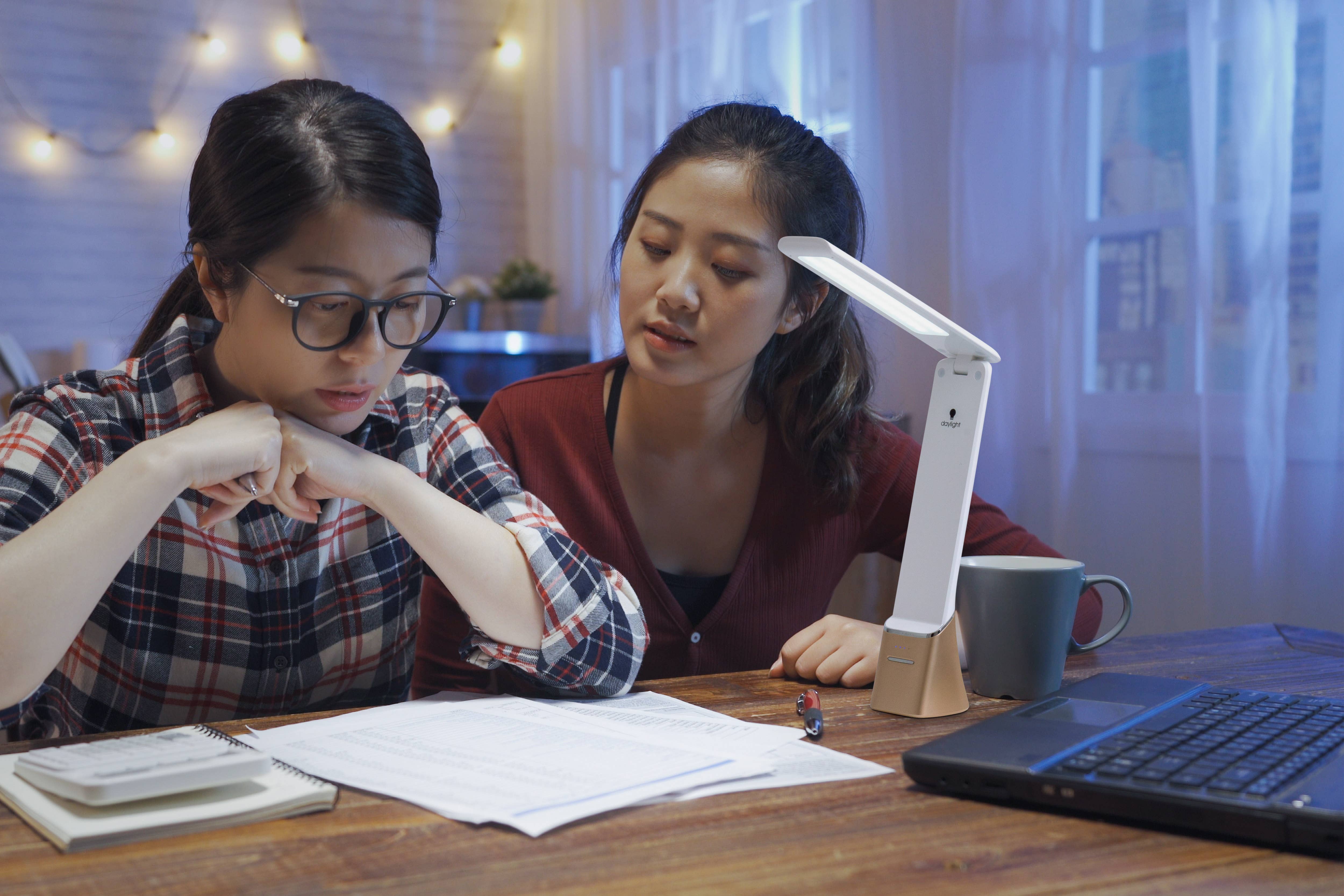 Daylight Company - Wholesale Accent/Desk Lamp - SmartGo™ Travel Lamp10