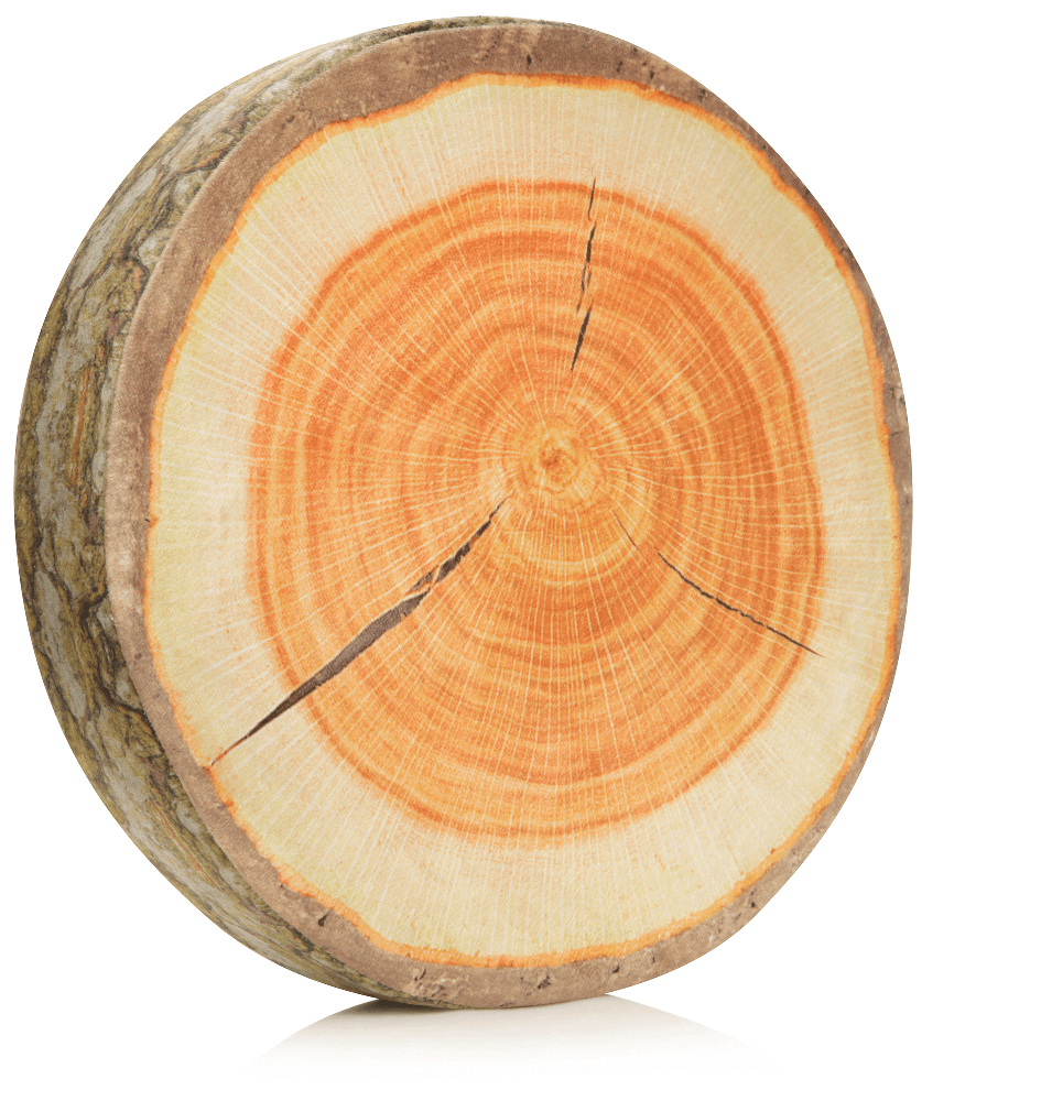 Husband Pillow - Vendita all'ingrosso Cuscini per letto - 360 - FETTA-REGISTRO-MAPL22