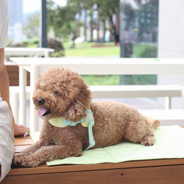 Pups & Bubs - Wholesale Pet Travel Bowl - Dog - Jouir Pet Travel Mat | Non-slip, Light-weight, Foldable12