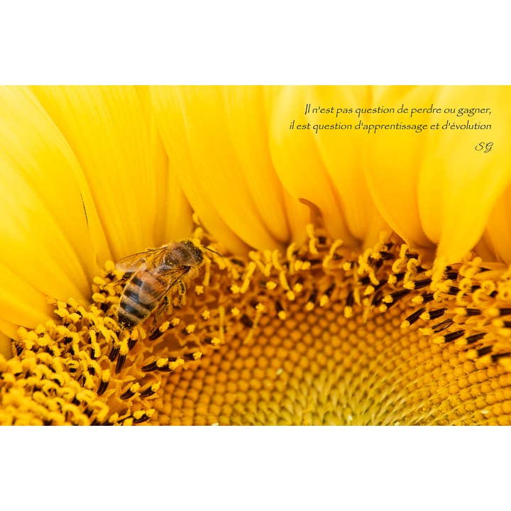 Sol for engroshandel hos L'Ecriture D'Un Regard