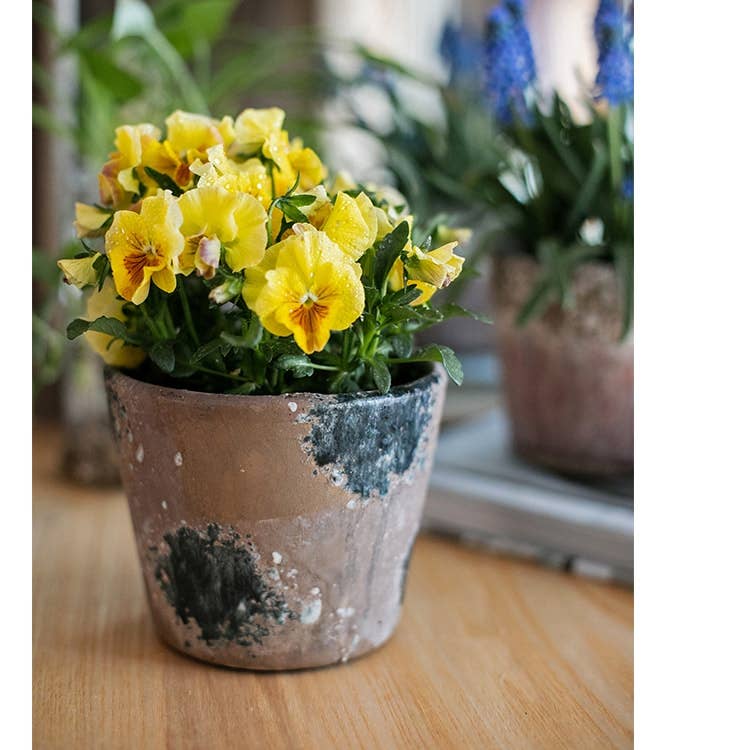 Rustic Reach - Wholesale Plant Pot - Colorful Terracotta Pot8