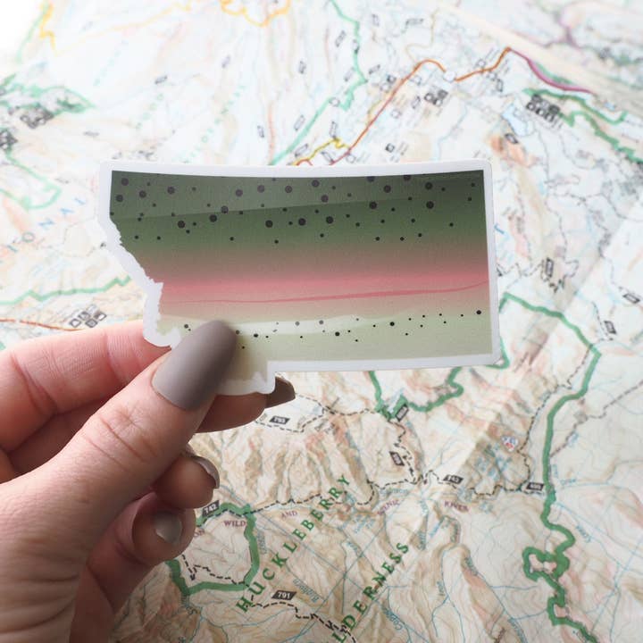 Sentinel Supply – wholesale Klistermärke – Regnbågsöring Montana Fiskedekal - Flugfiske dekal