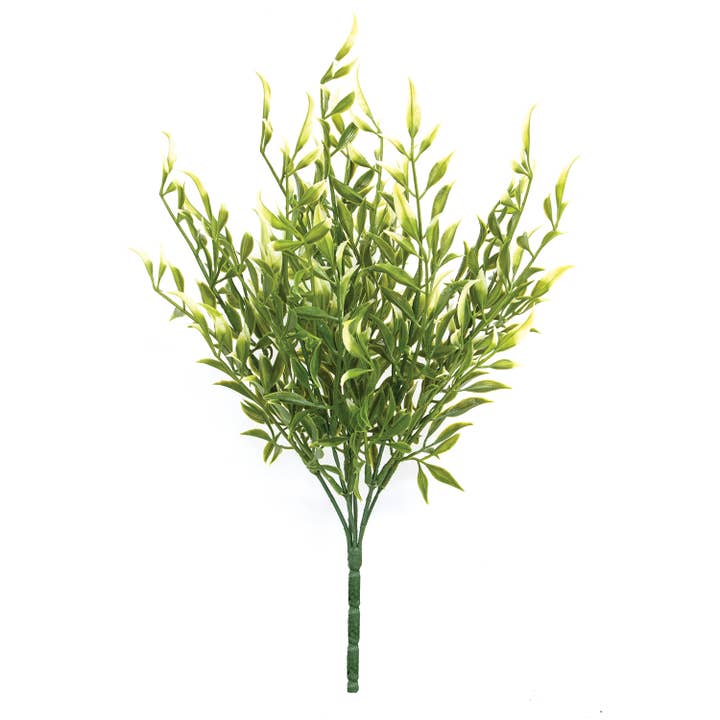 Cream Tipped Smilax Bush - 14" for wholesale by Saybrook Lane