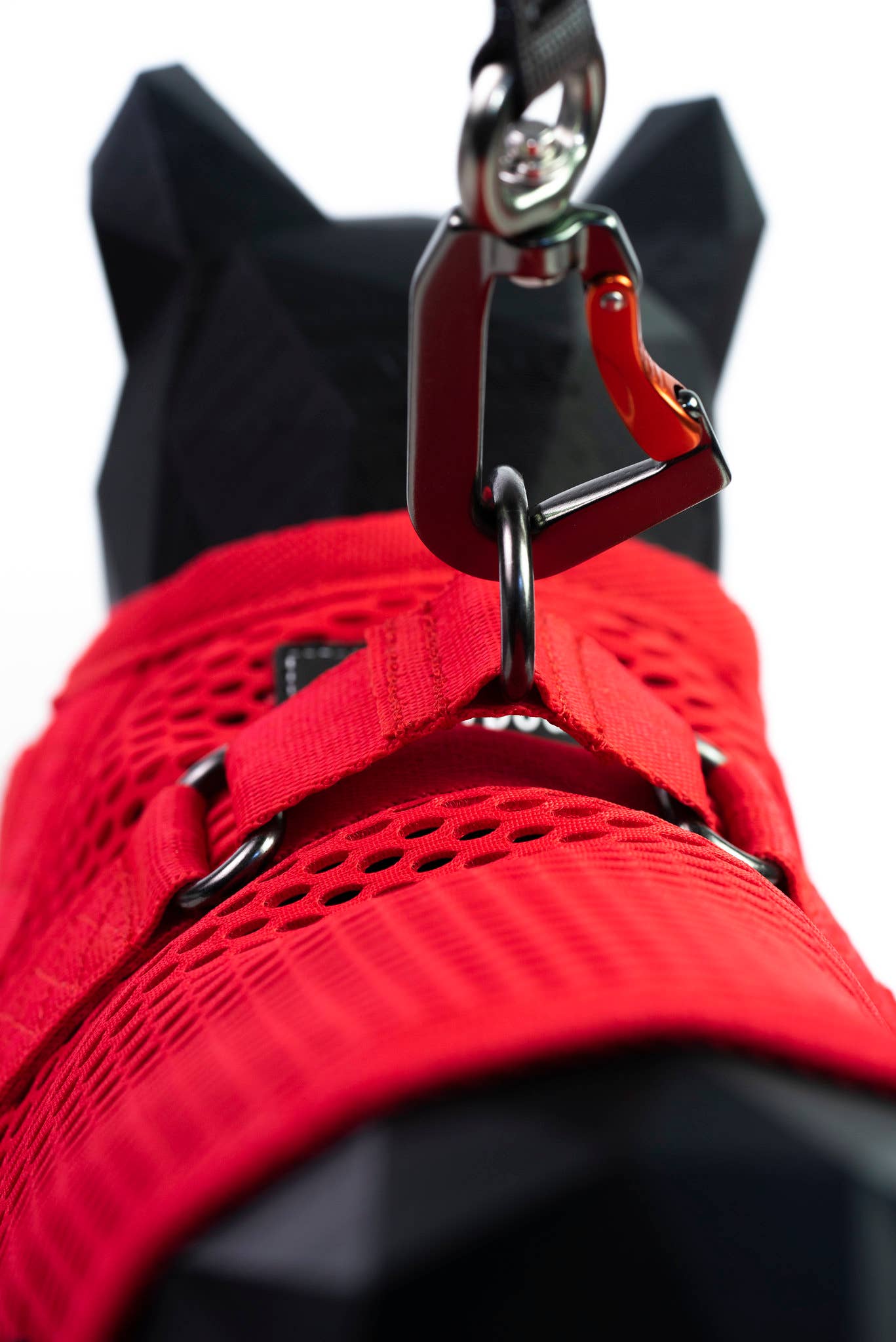 Sleepypod – Arnês – Gato por atacado – Coleira peitoral martingale para gato – coleira para passeio6