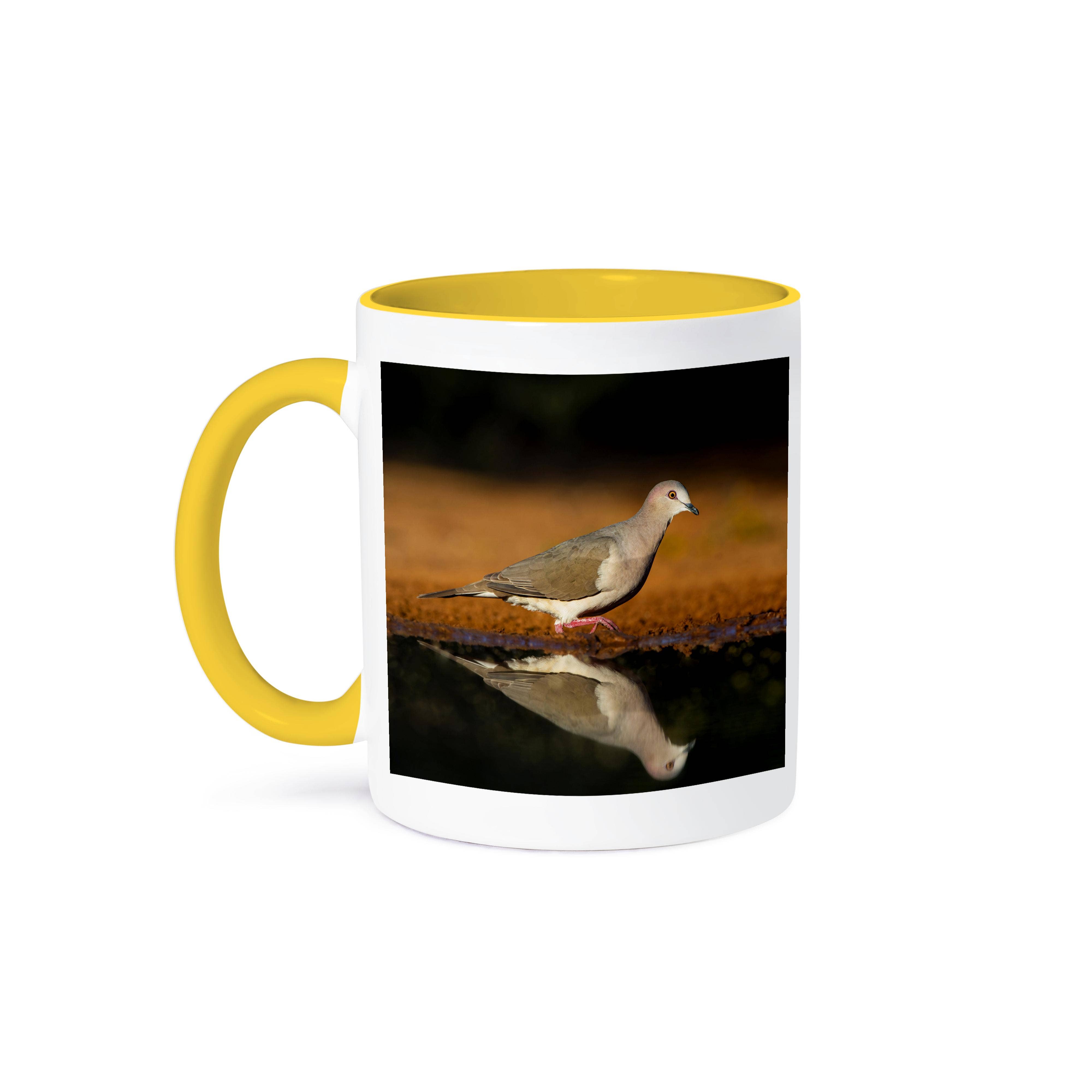3dRose - Wholesale Coffee Mug - 3dRose, White-tipped dove, Leptotila verreauxi by pond., Mug0