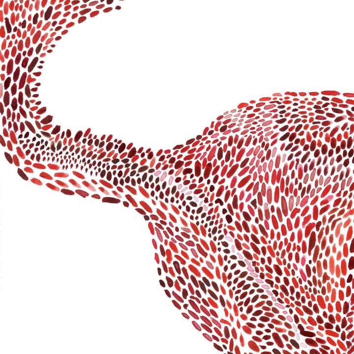 Elephant Shoe Studio - Wholesale Art Print - "Boooooterus" Fine Art Print