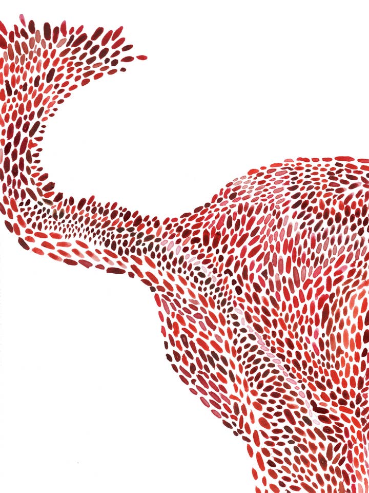 "Boooooterus" Fine Art Print for wholesale by Elephant Shoe Studio