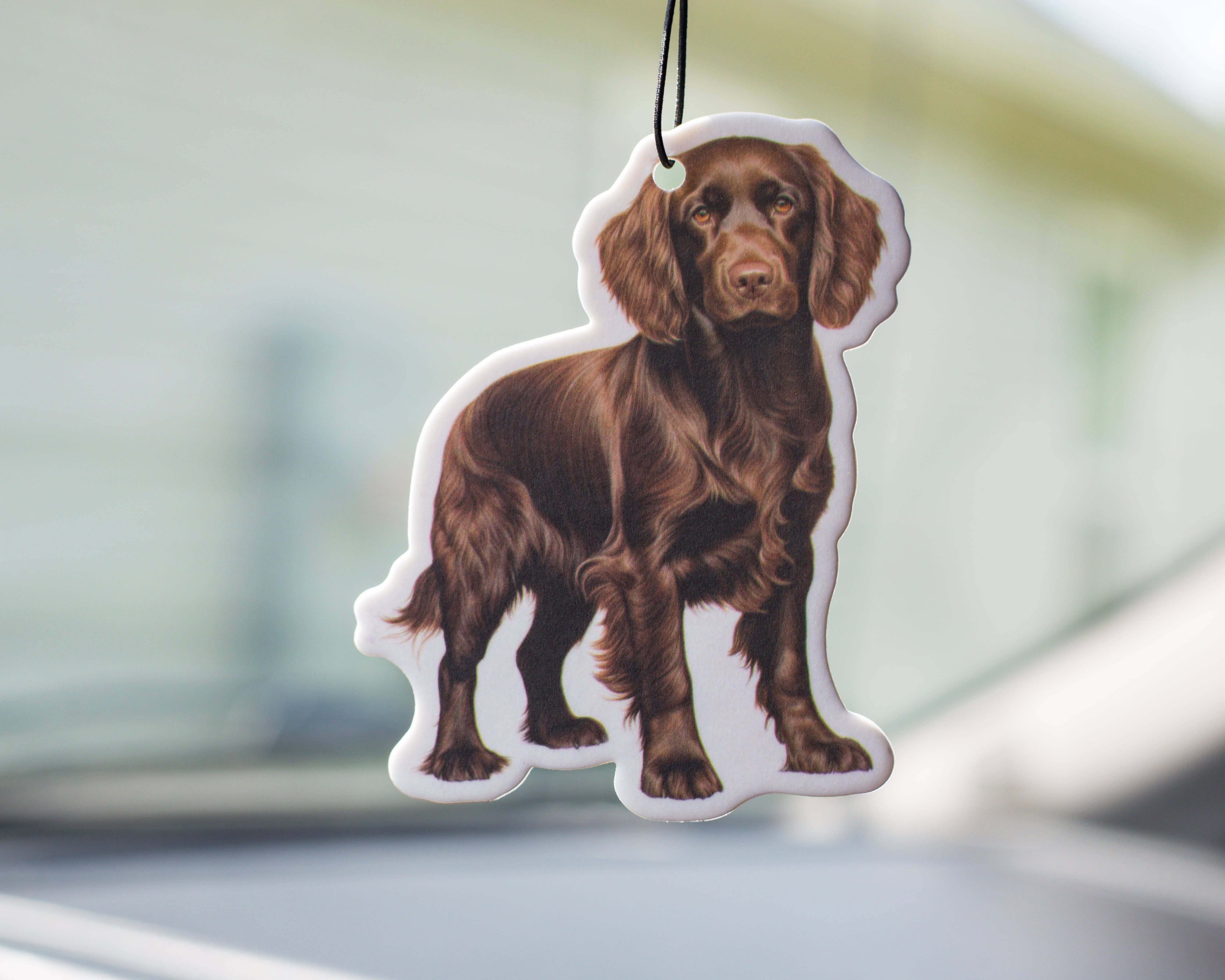 Scent South - Wholesale Car Freshener - Unisex - Boykin - Air freshener
