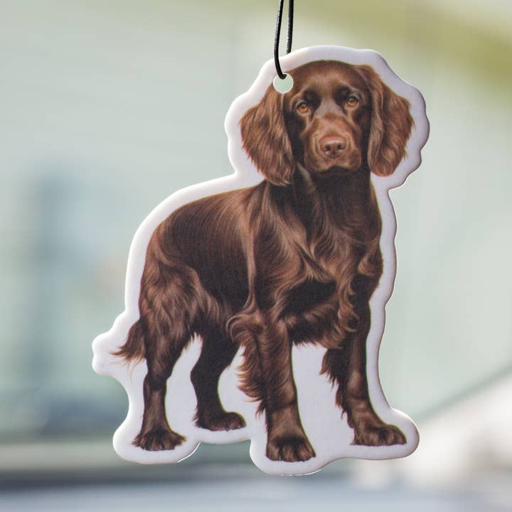 Boykin - Ambientador por atacado de Scent South