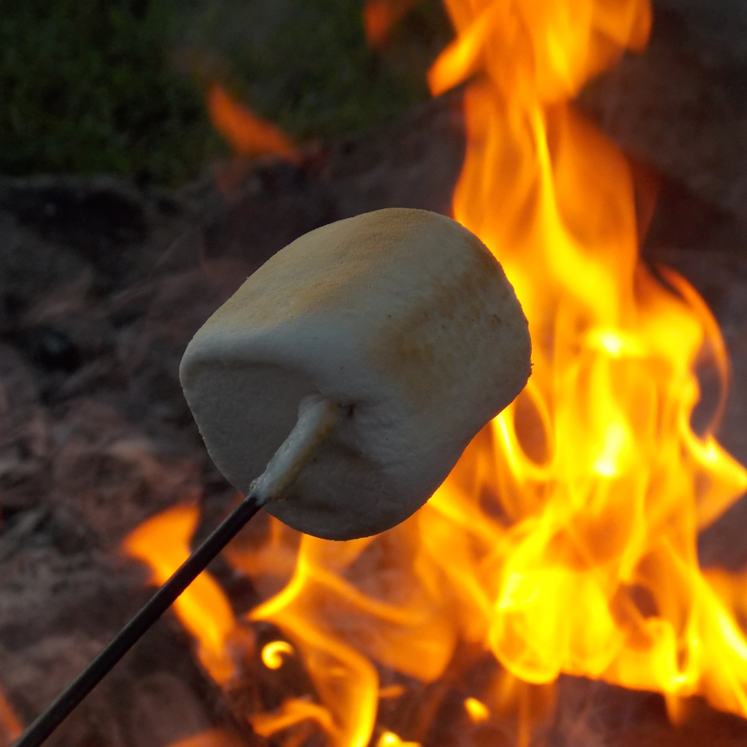 Fernberry - Wholesale Jar/Filled Candle - Bonfire Night- 8oz  Wood Wick Candle2