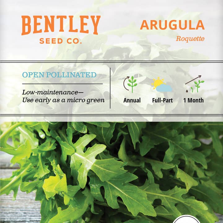 Bentley Seed Co. - Wholesale Plant Seeds - Arugula, Roquette Seed Packets