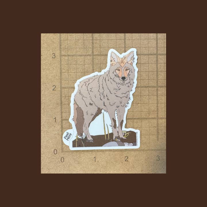 Artwork by Sophia - Venta al por mayor Pegatina - Coyote | Pegatina de vinilo | Dibujo a color | 3 pulgadas