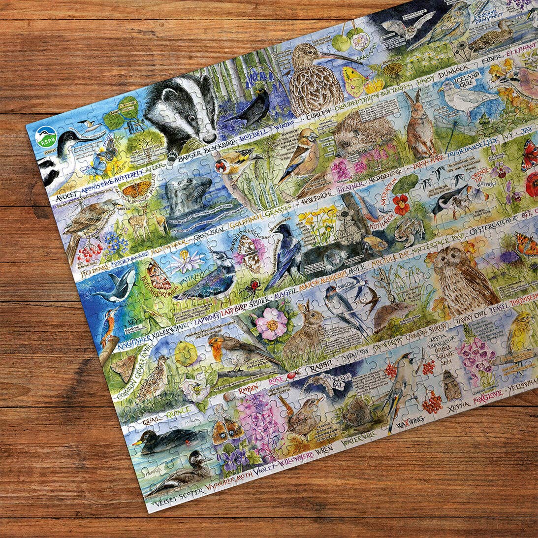 Gibsons Games Ltd – wholesale Puzzle – Adult – RSPB Birdsong & Bluebells 1000 Piece Jigsaw Puzzle1