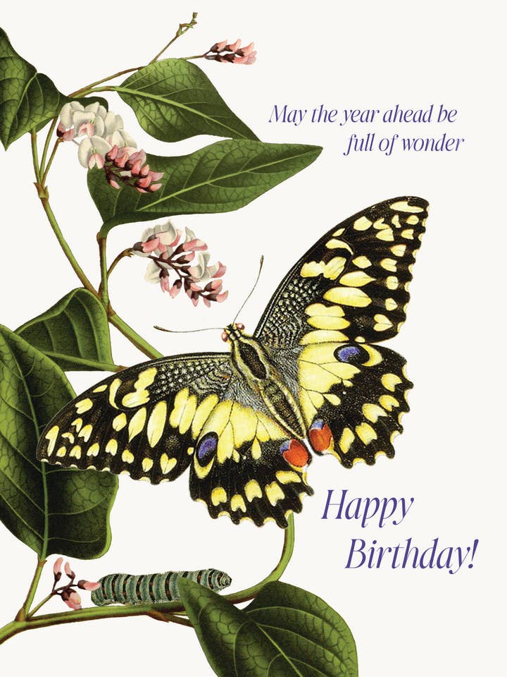 Che l'anno a venire sia pieno di meraviglie • A-2 Biglietto di auguri per la vendita all'ingrosso da parte di P. Flynn Design / Phun House