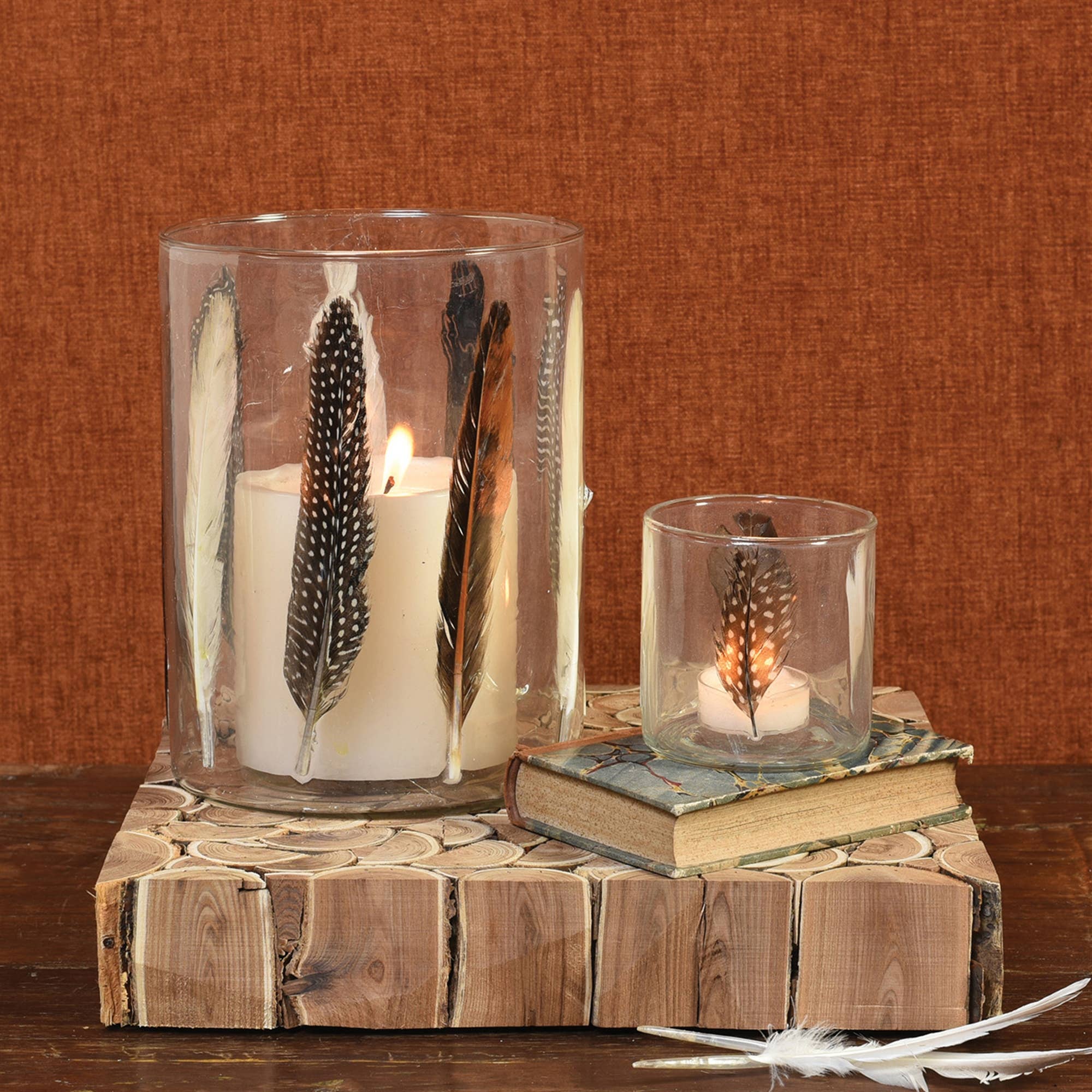 HomArt - Wholesale Candle Holder - Enameled Feather Hurricane - Sm - Feathers3