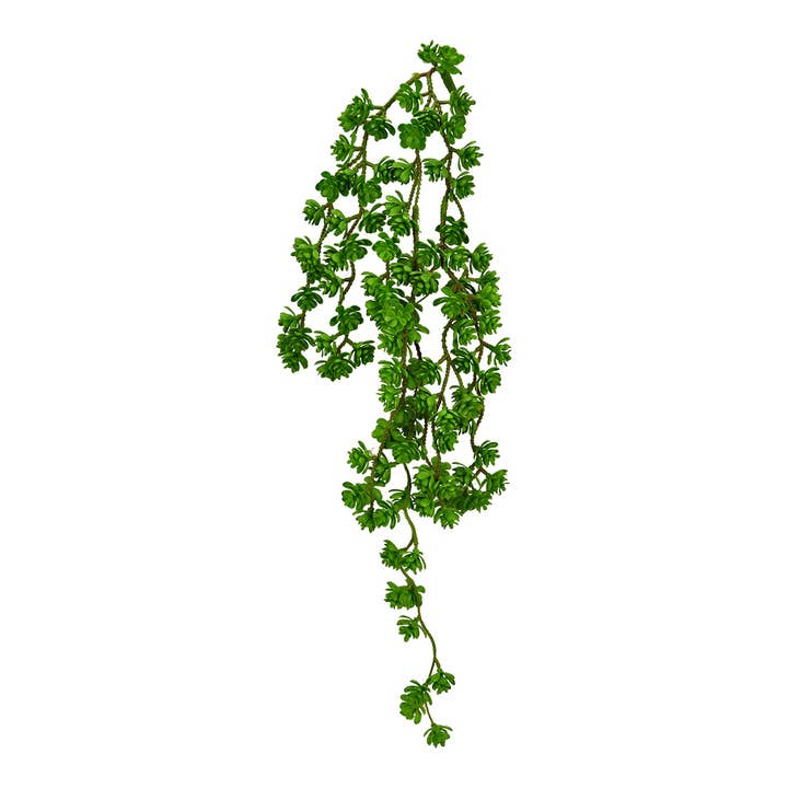 Fleur artificielle succulente suspendue en plastique, vert (H) 64 cm pour la vente par Wurm
