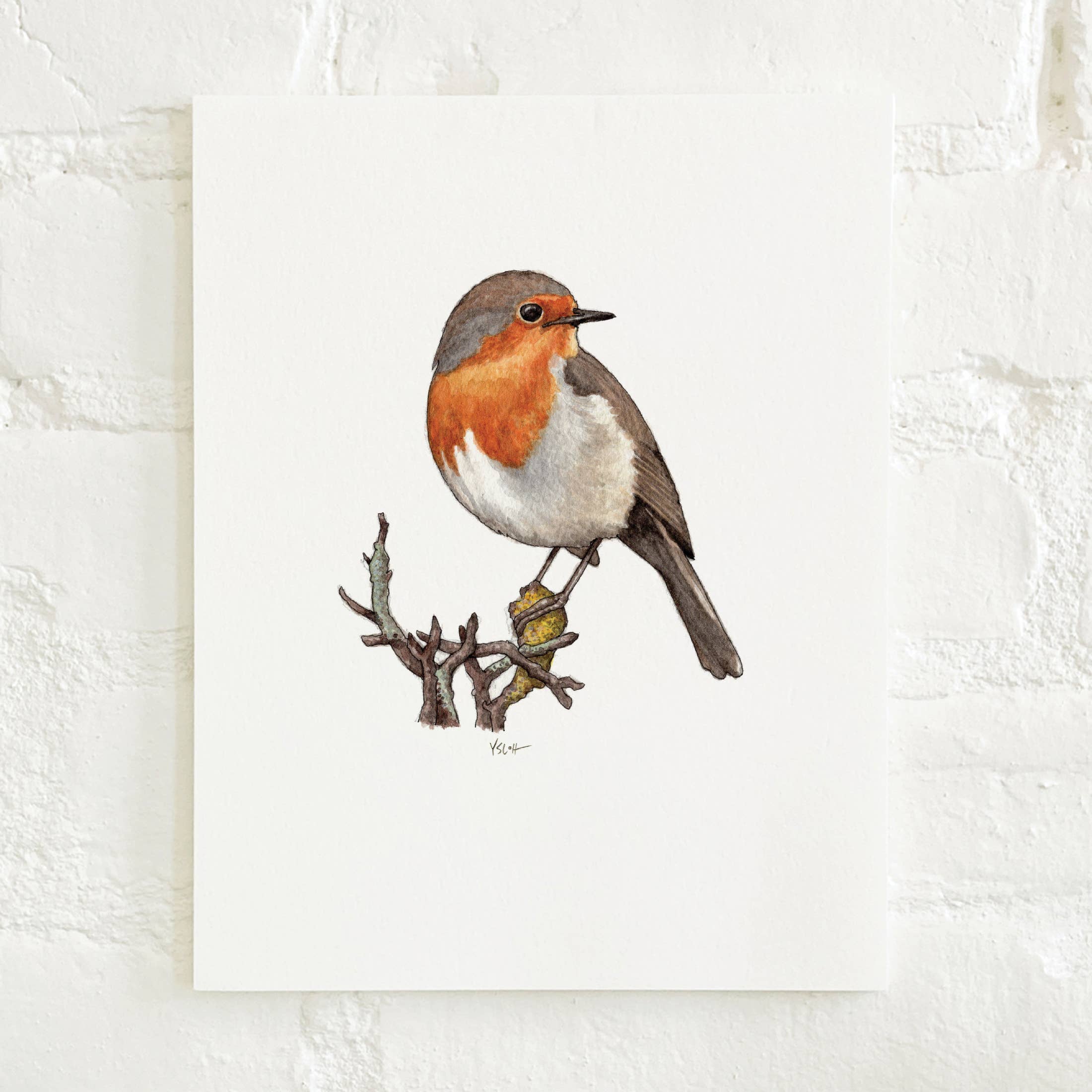 Yeesan Loh - Wholesale Art Print - Prints / Birds . Robin1