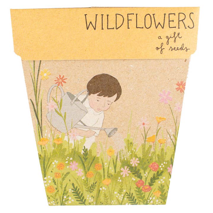 Sow 'n Sow - Wholesale Plant Seeds - Wildflowers Gift of Seeds (Australia Only)