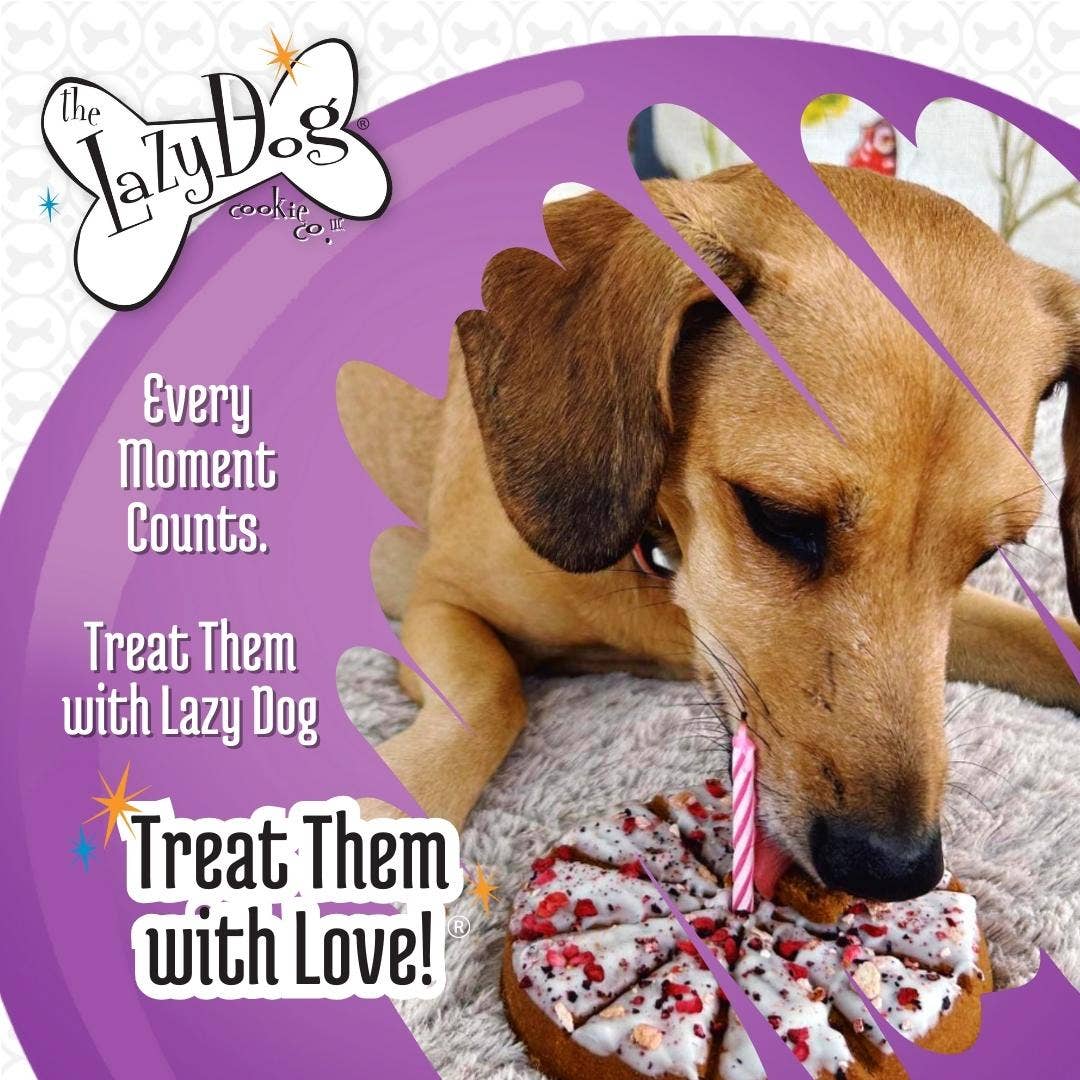 The Lazy Dog Cookie Co., Inc. - Wholesale Pet Treats - Dog - The Original Pup-PIE® Happy Birthday for a Special Dog5