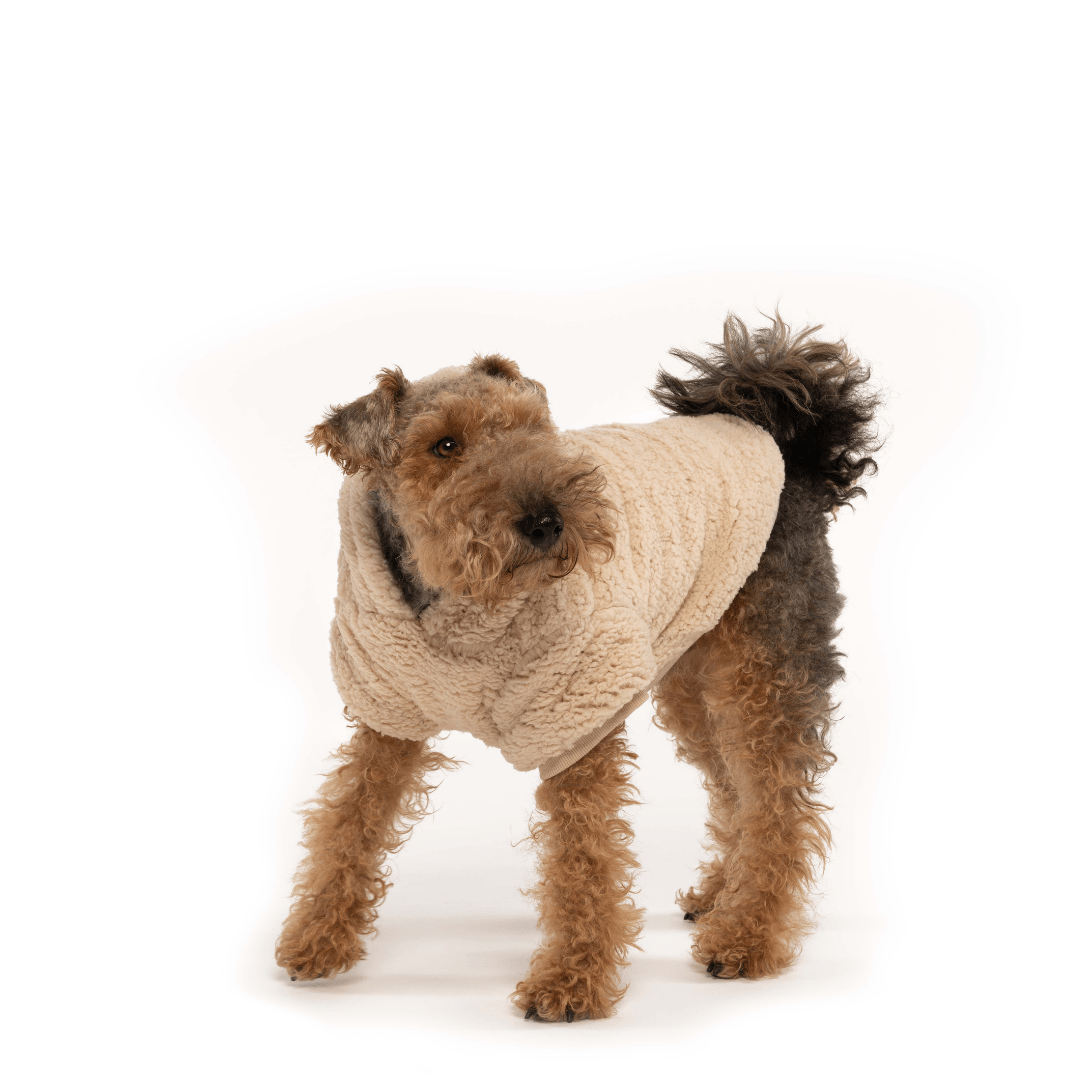 fabdog - Wholesale Pet Hoodie - Dog - Cream Sherpa Hoodie4