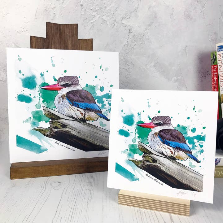 Brown Hooded Kingfisher Bird Print for wholesale by Loadofolbobbins