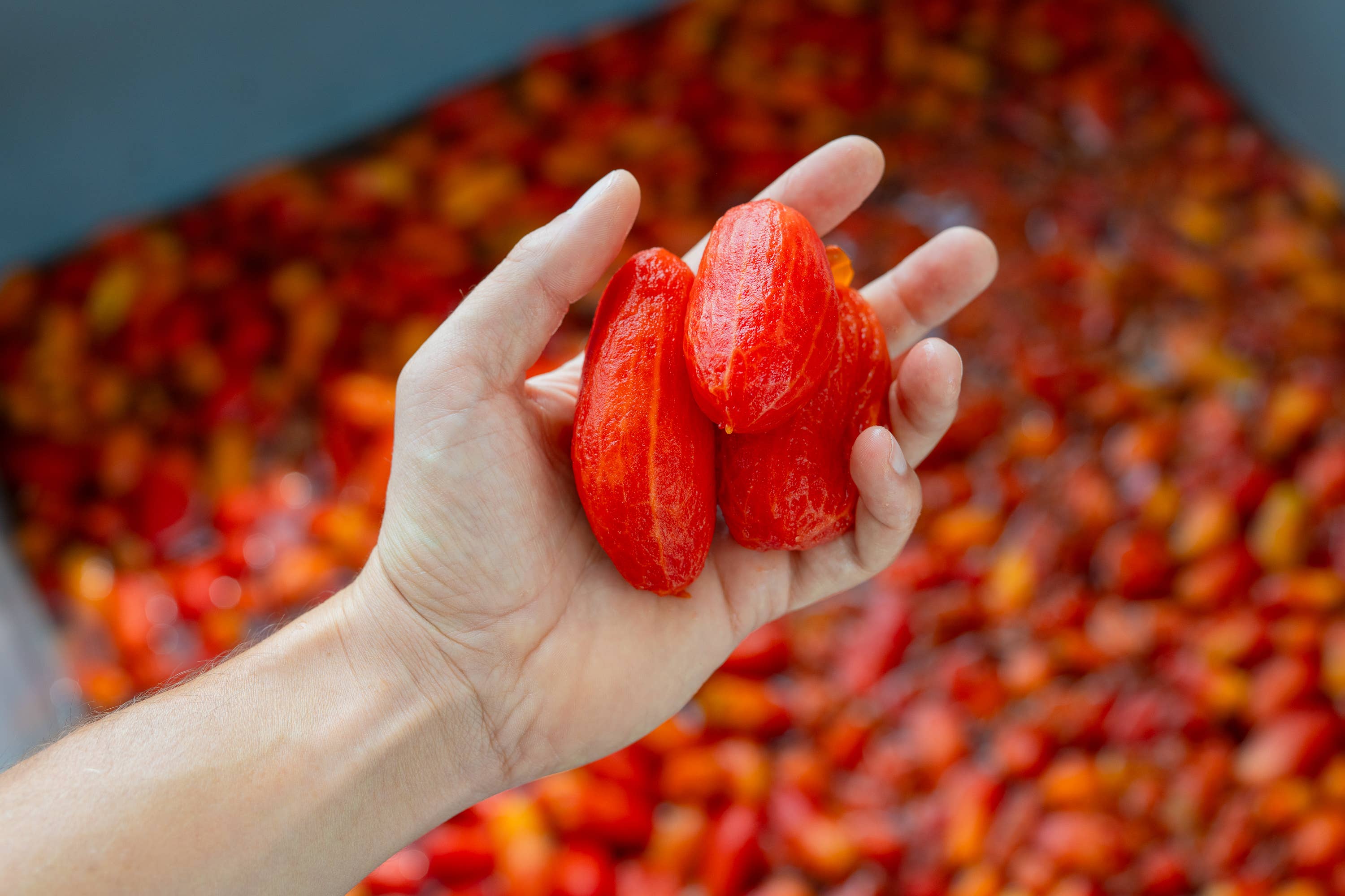 Muraca srl – wholesale Sås – Flådd Tomat Rostad Över Öppen Låga 580g3