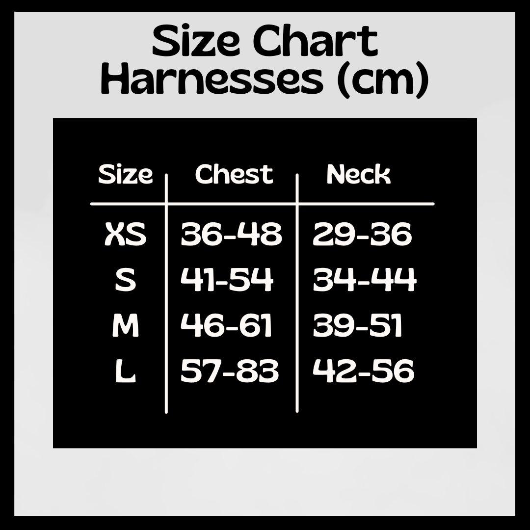 CitiPup Ltd – wholesale Pet harness – Dog – Groove is in the Heart - Harness3