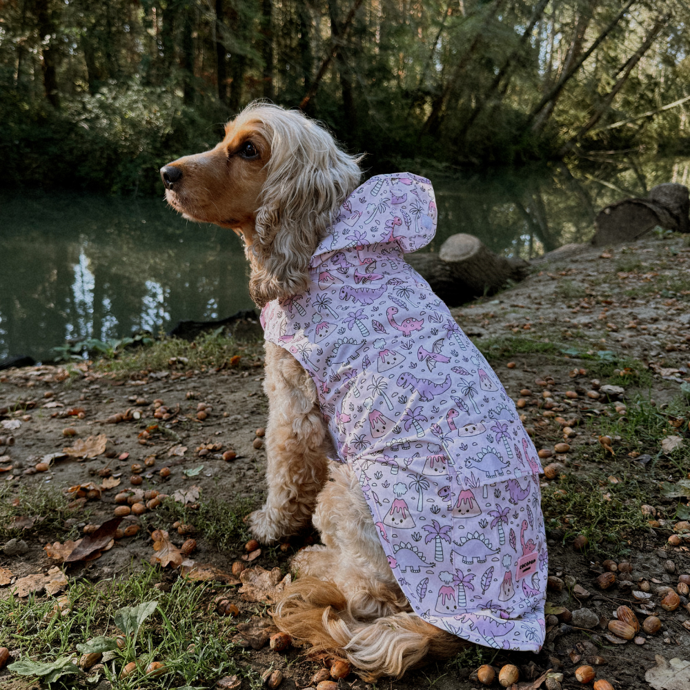 Cocopup London – wholesale Pet raincoat – Dog – Dog Raincoat - Princess Dino10