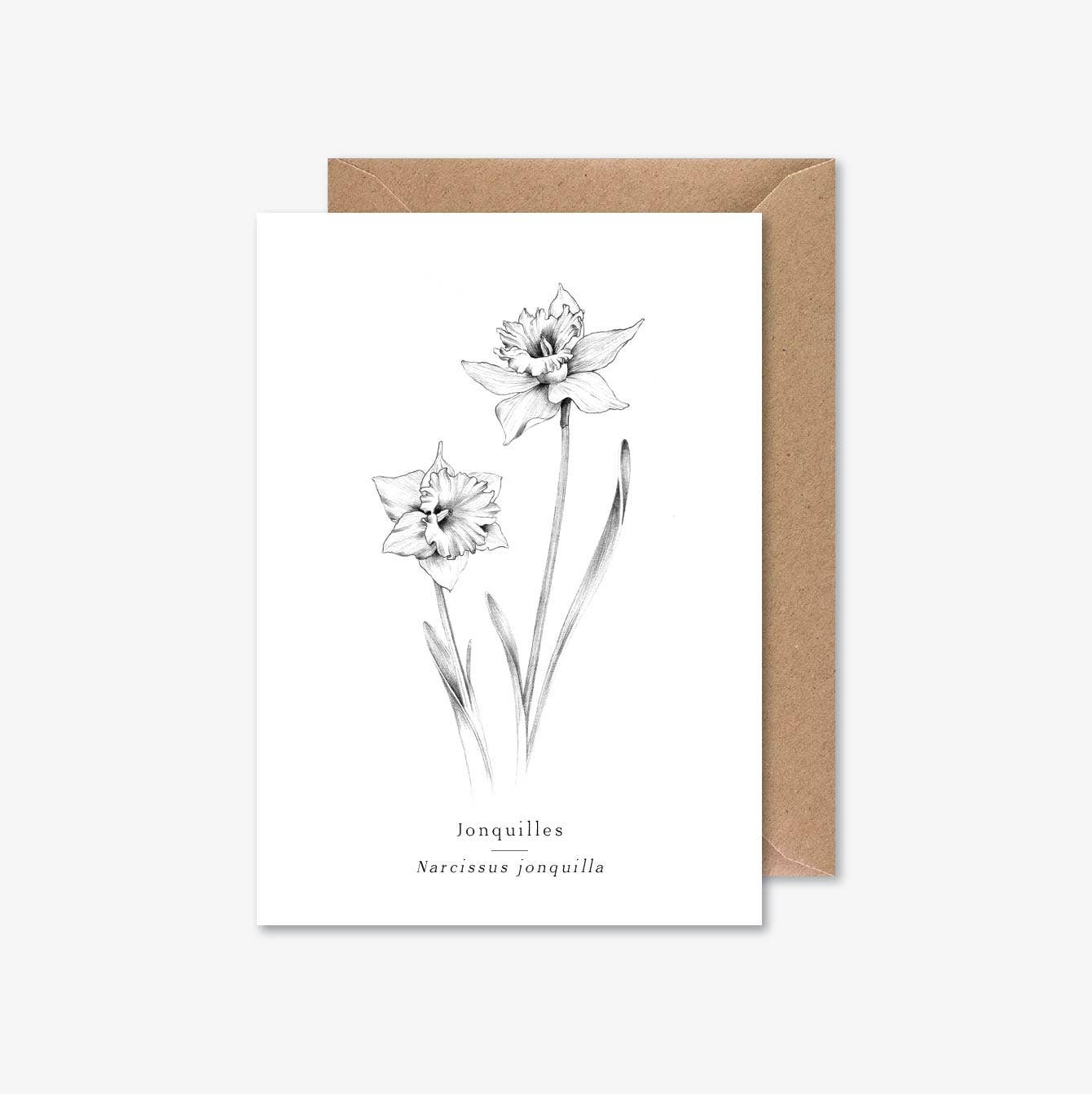 Papier Mirage – Großhandel Grußkarten für den Alltag – Narzissen
