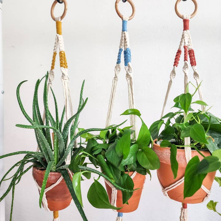 Boho Accent Color Plantebøjle til indendørs/udendørs brug for engroshandel hos Handmade By Uruba