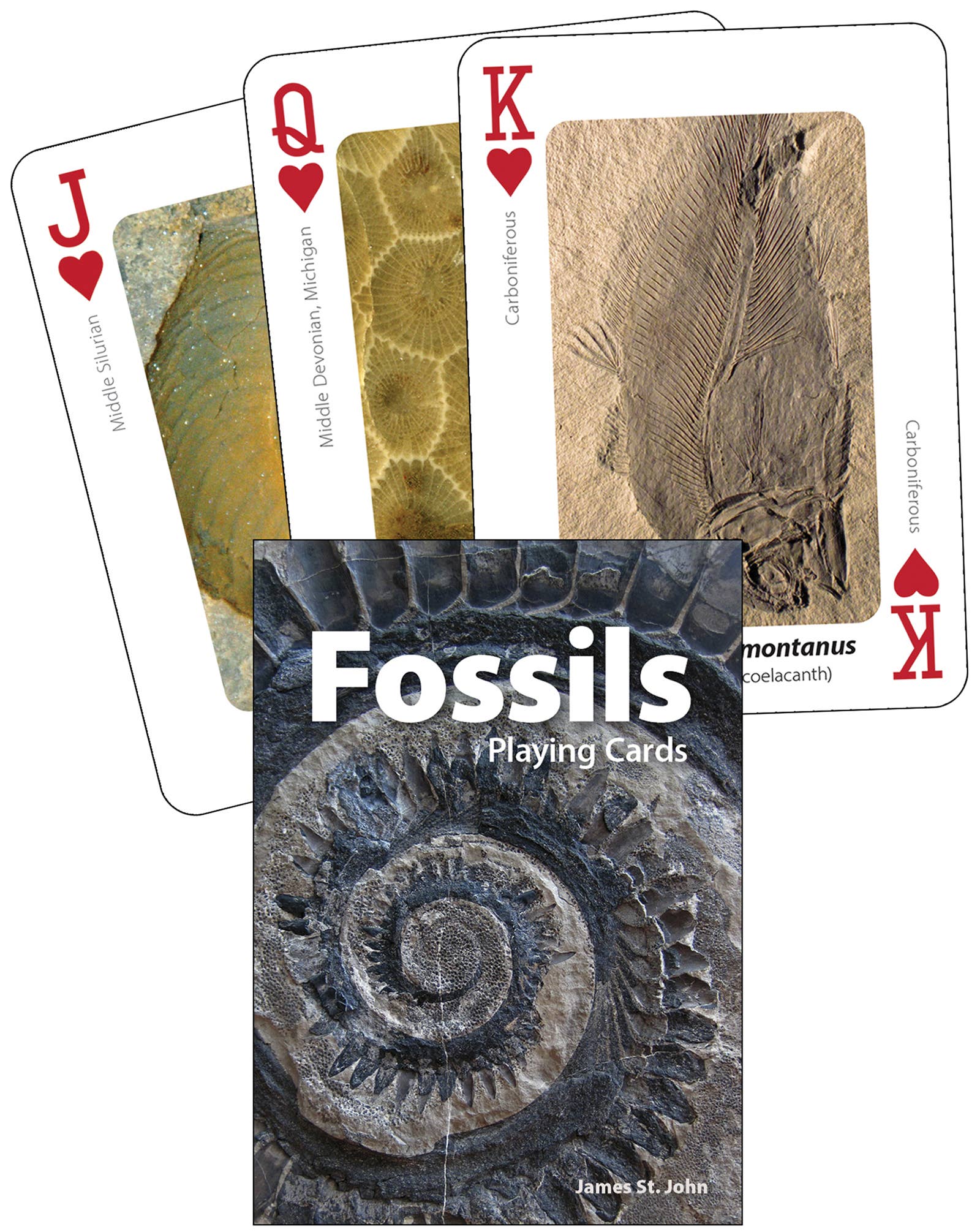 AdventureKEEN - Wholesale Playing Cards - Fossils Playing Cards