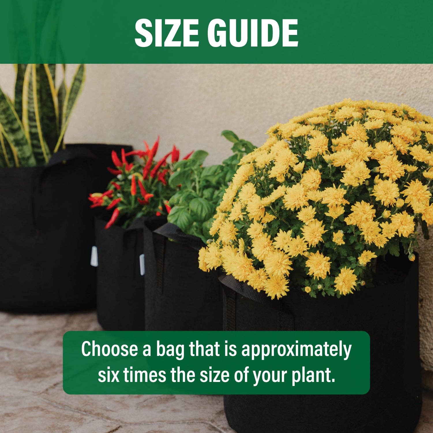 Humboldts Secret Supplies – Solo para plantação e vasos por atacado – Sacos de Cultivo de Tecido6