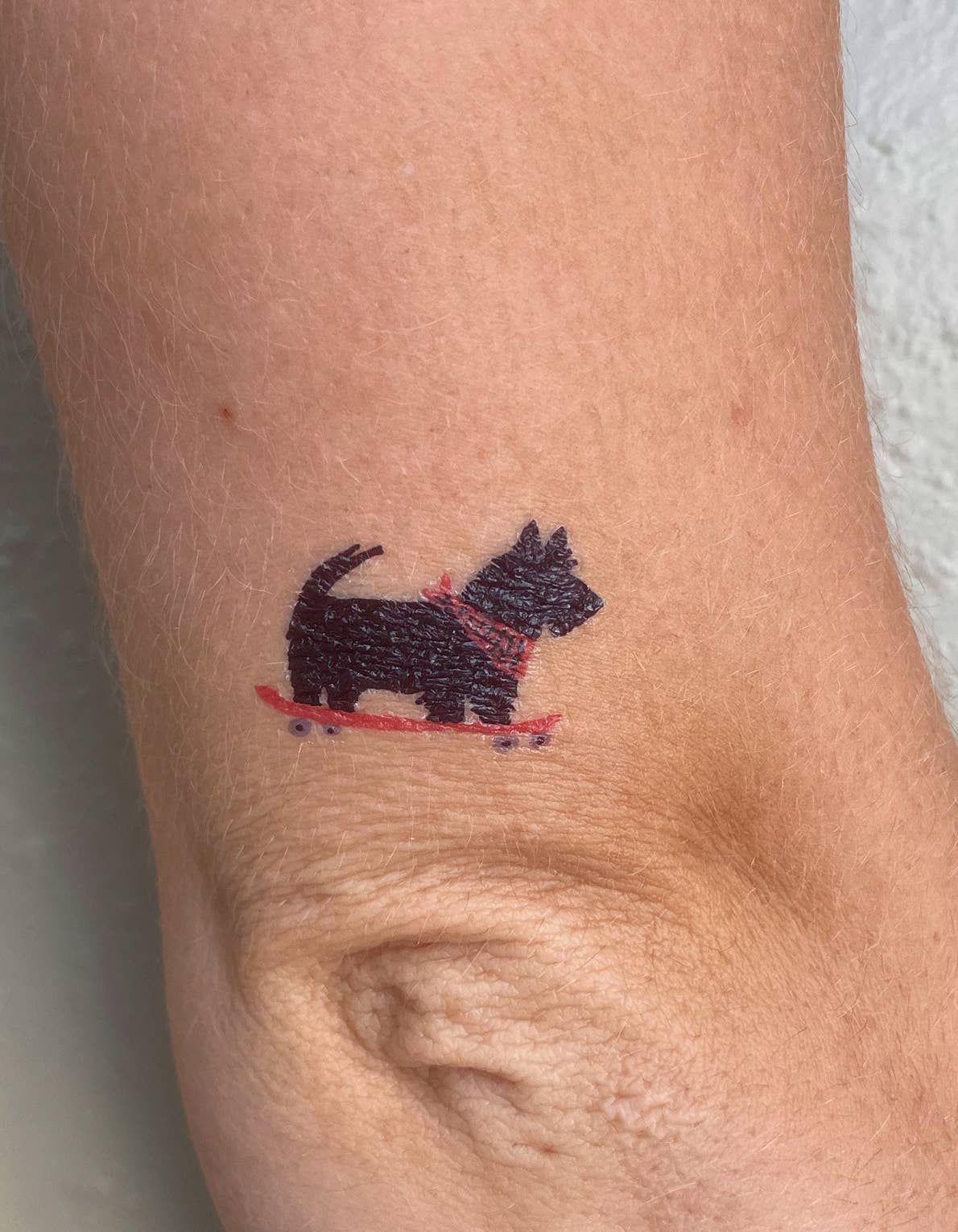 Idlewild Co. - Wholesale Temporary Tattoo - Skating Dogs Temporary Tattoo1