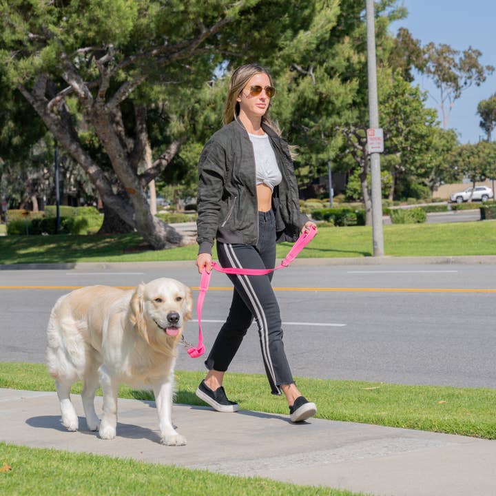 Shed Defender - Wholesale Hondenriem - Hond - Standard Hondenriem met Drie Gevoerde Handvatten - 1,5 m2