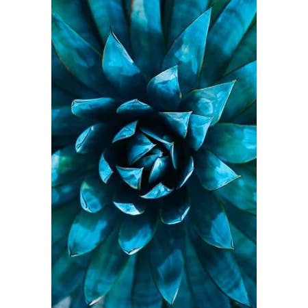 Blue Agave And Melon for wholesale by Barclay Mountain Candles