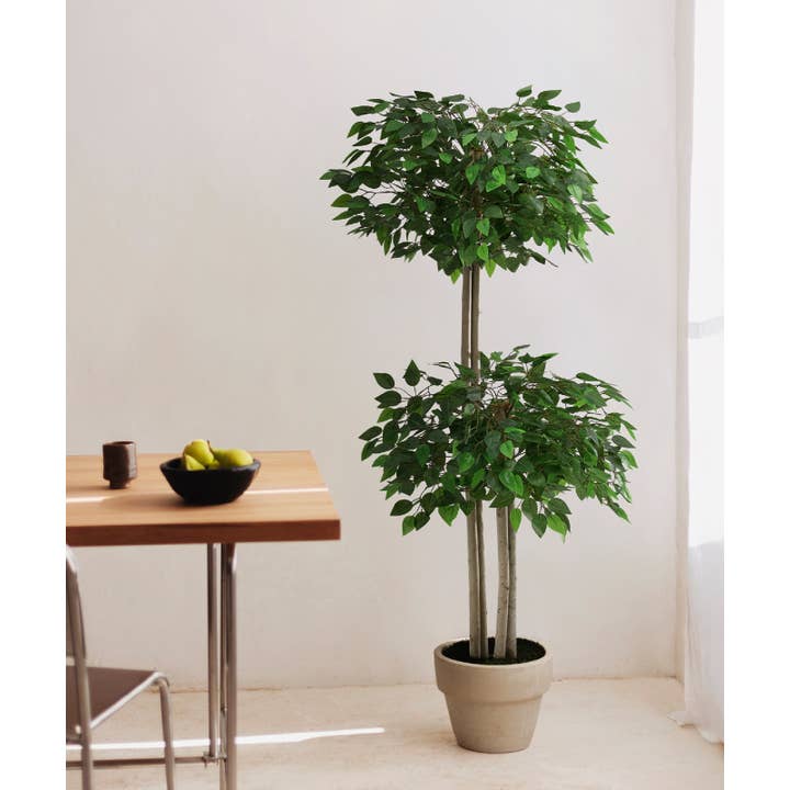 Maia Shop - Wholesale Artificial Plant - Artificial Ficus 2 Crowns 150 cm