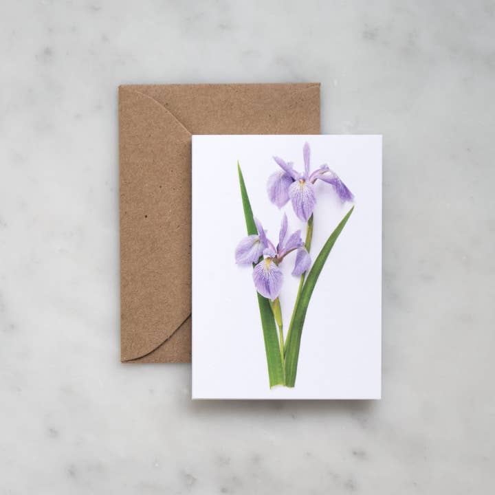 Enclosure card - Iris for wholesale by Bottle Branch