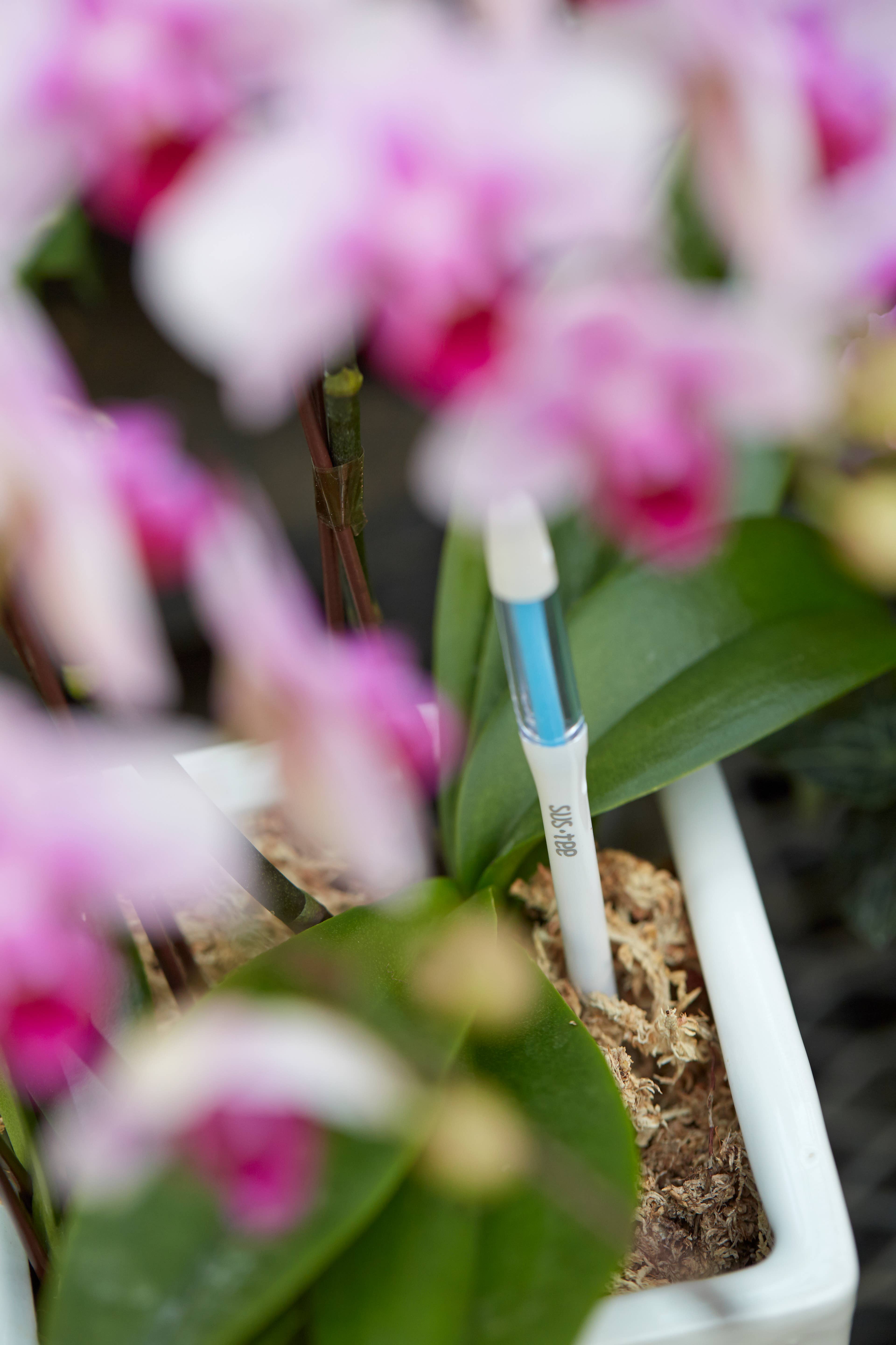 SUStee - Vente Outil de jardinage - SUSTEE en vrac (avec EAN), grand format, blanc3