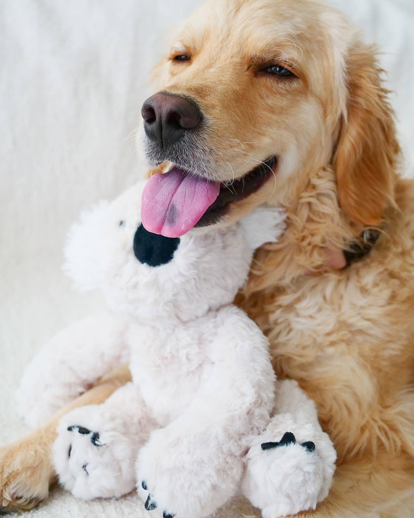 Fur Elise Pets - Wholesale Pet Plush Toy - Dog - Koko Maxi Plushie12