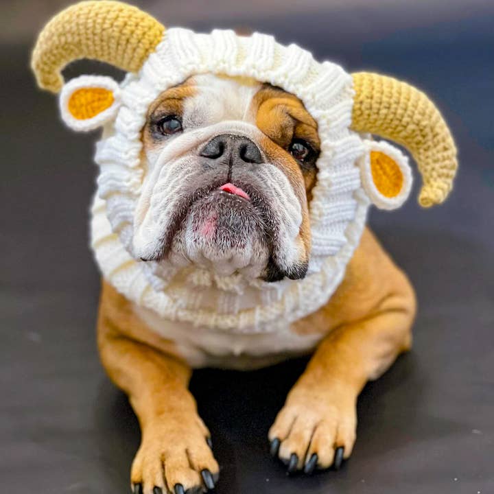 Zoo Snoods - Wholesale Pet Snood - Dog - Goat Ram Dog Snood9