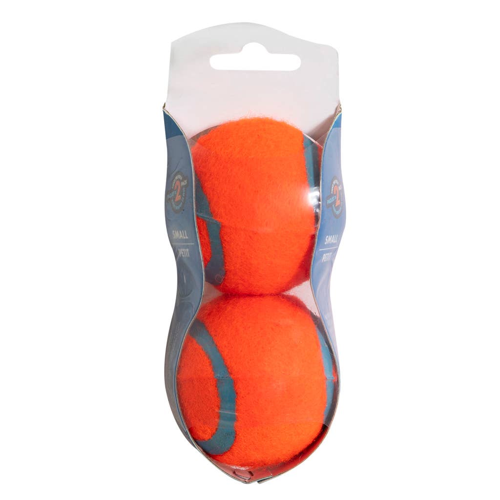 Hofman Animal Care - Wholesale Pet Fetch Ball - Dog - Chuckit Tennis Ball S 5 cm 2 Pack1