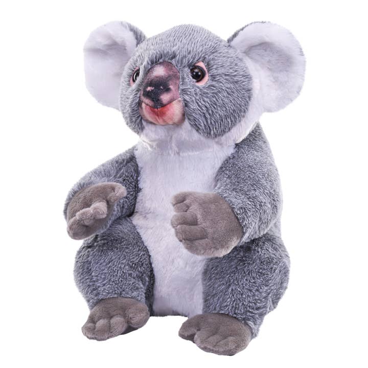 Artist Koala Plush 15" for engroshandel hos Wild Republic
