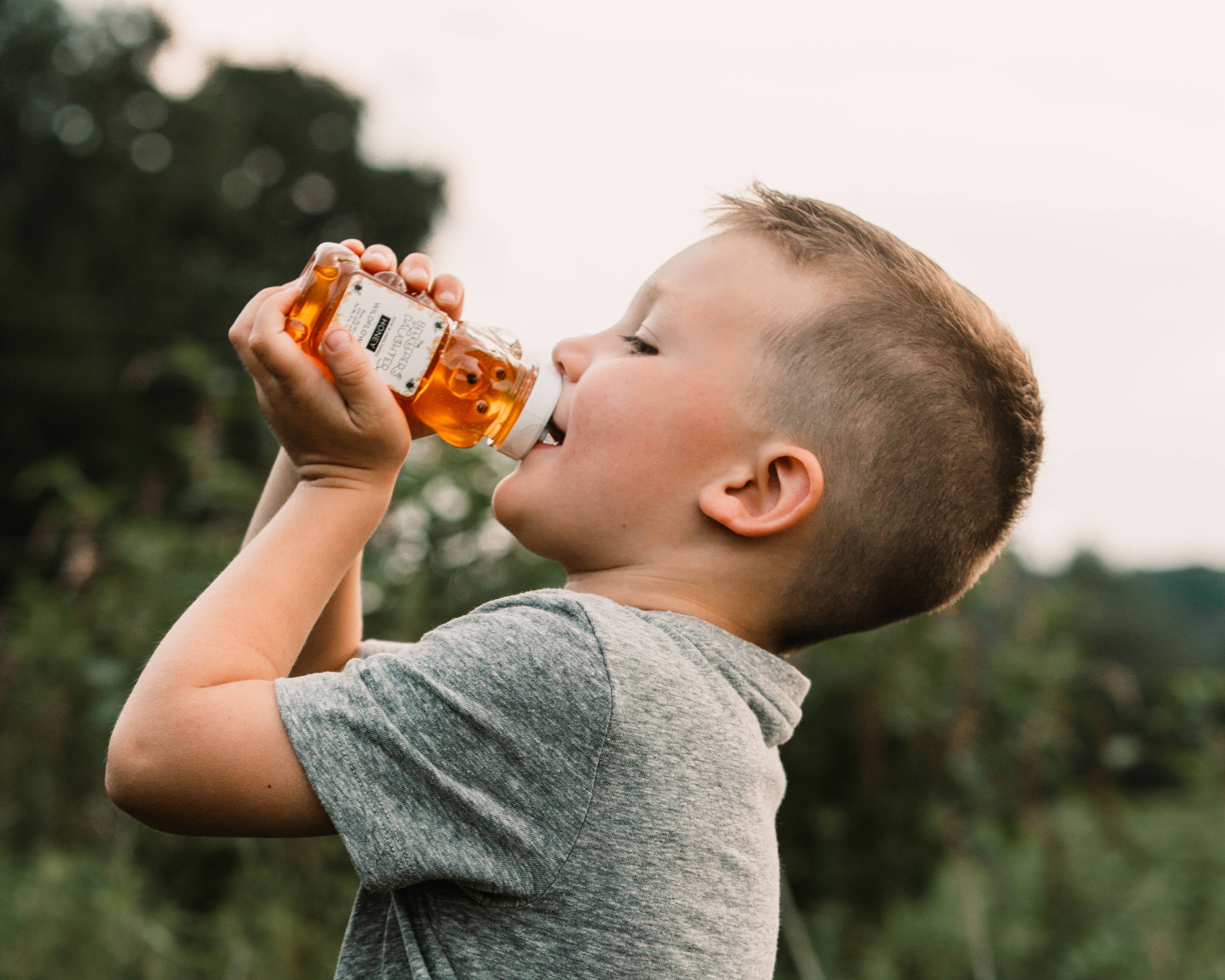 The Beekeeper's Daughter - Wholesale Honey - 8oz Honey Bear - Raw Florida Orange Blossom Honey2
