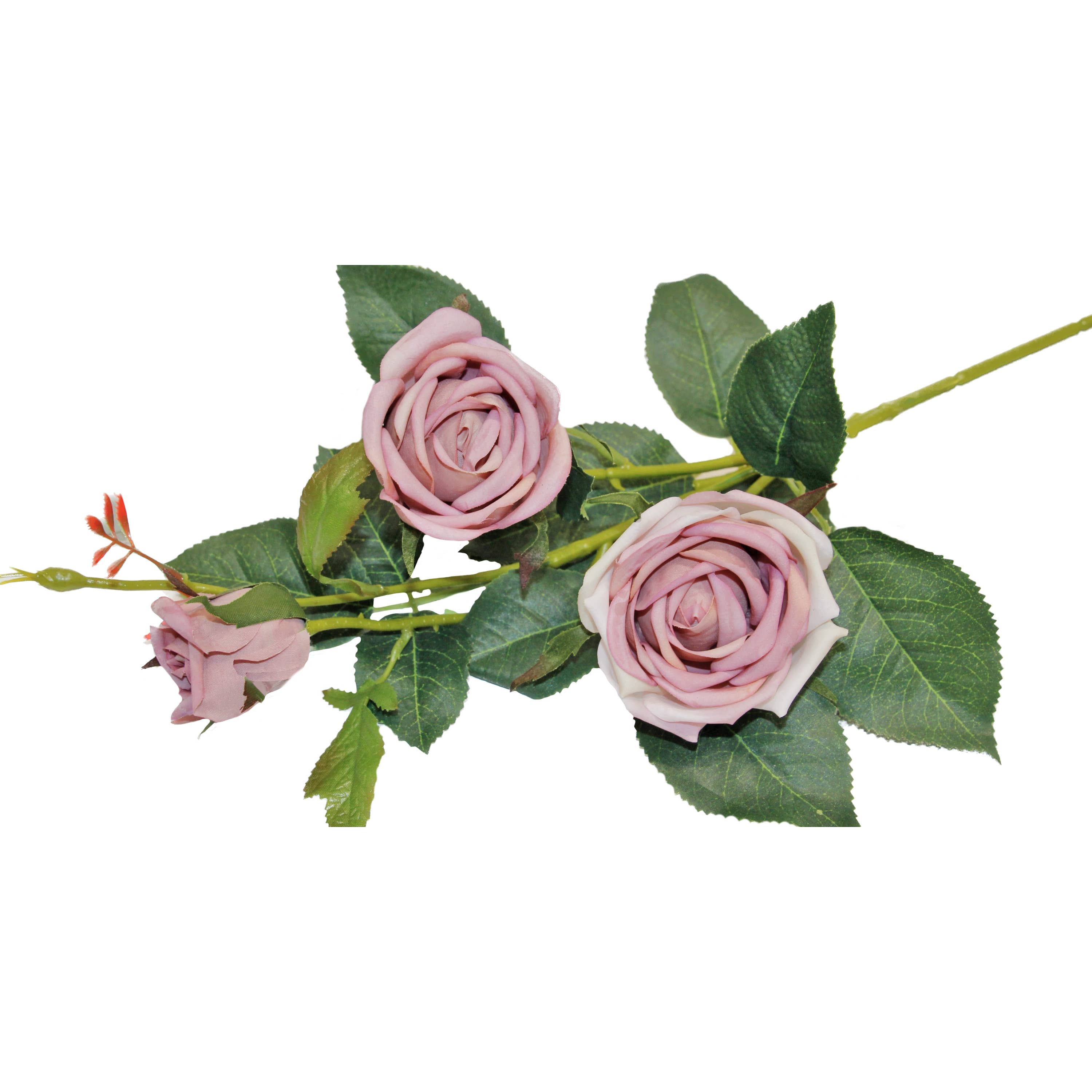 Angel Isabella - Wholesale Artificial Flowers - 24" Real Touch Rose-3 flowers11
