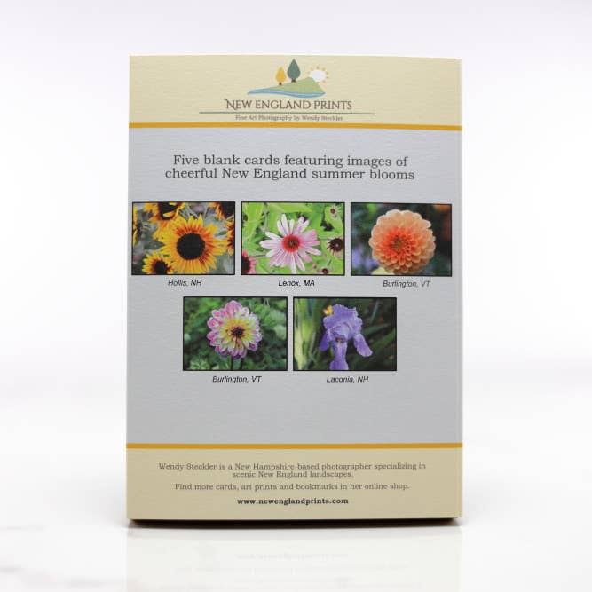 New England Prints - Wholesale Stationery/Notecard Set - Box of 5 All Occasion Summer Bloom Blank Note Cards1