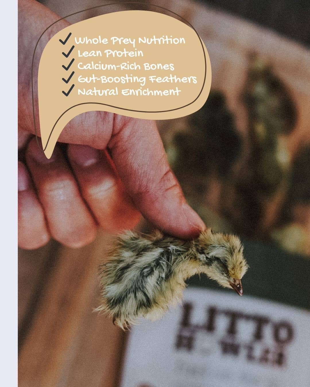 Litto Howler – wholesale Pet treats – Cat – Whole Prey Quail Chicks | 15 Count 5
