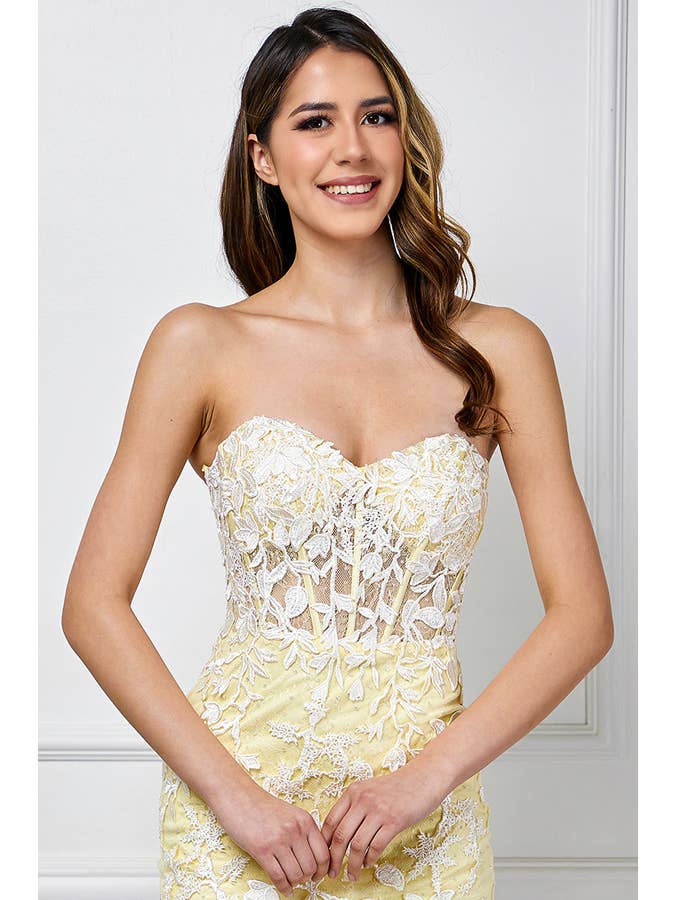 Babyfox Apparel – wholesale Dress – Women's – Strapless Sweetheart Lace Fitted Short Dress21