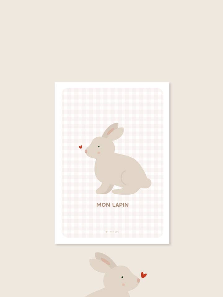 Vis min kanin for engroshandel hos Petit Coq